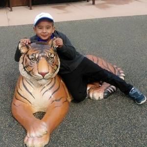 Meet your Posher, Beltran